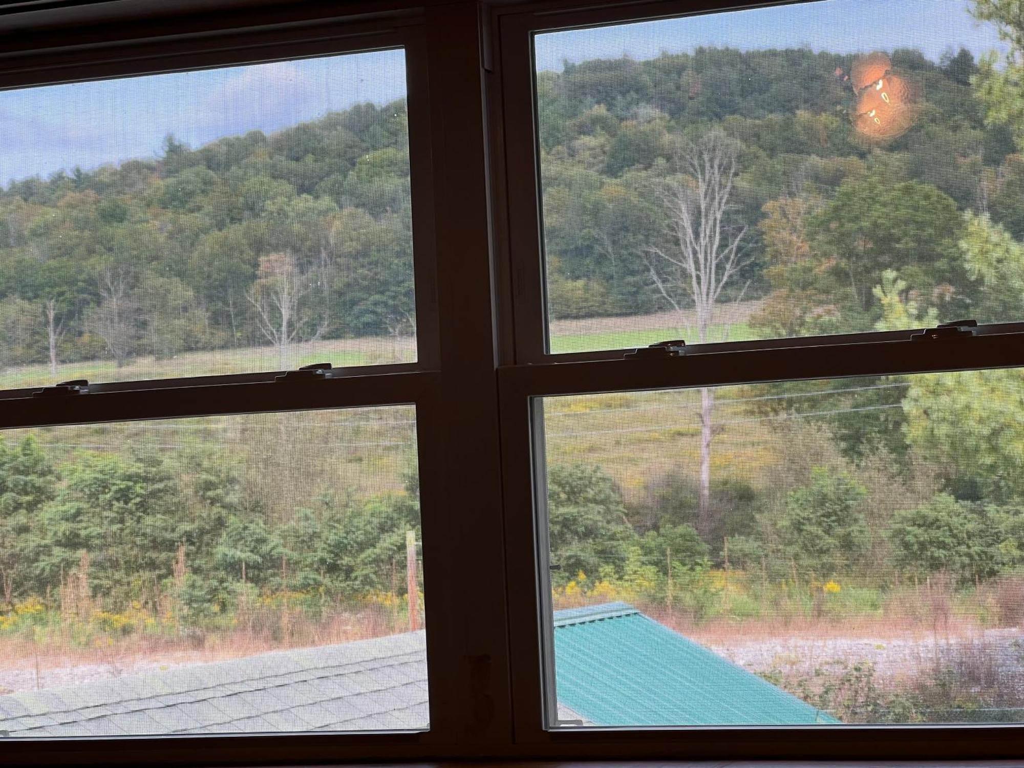 Rail Trail 1 Apartment *